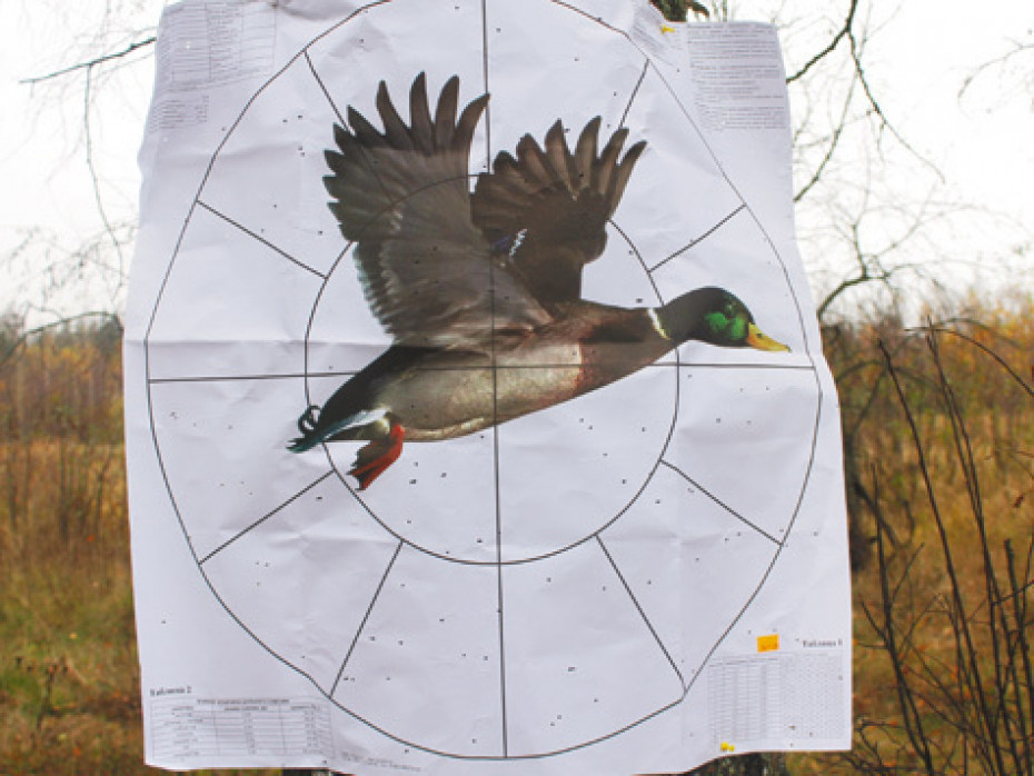 О правилах пристрелки охотничьего ружья